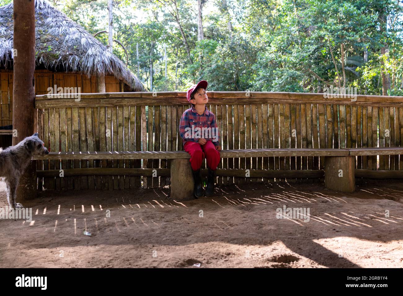 Longitud completa de BPY En pie por Fence contra los árboles en la aldea indígena Foto de stock