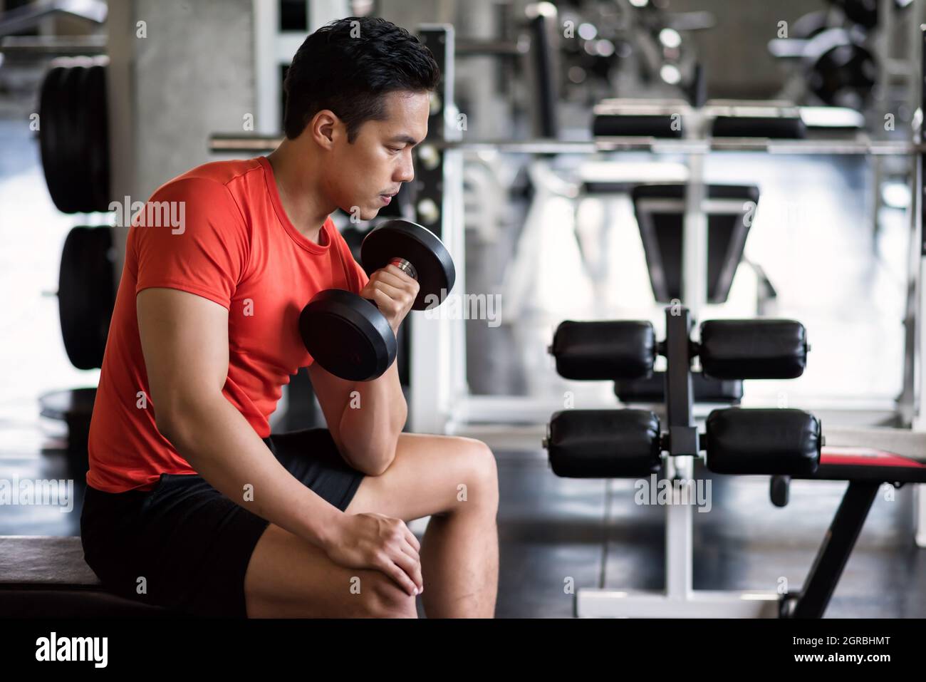Muscle Asian Young Man Bicep de ejercicio con Heavy Dumbbell en la silla en  el gimnasio Fitness Fotografía de stock - Alamy