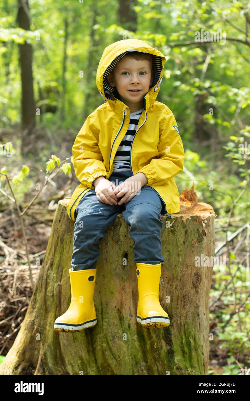 Niño pequeño en una chaqueta amarilla y botas de goma se sienta en un tocón  en el bosque y el brillo Fotografía de stock - Alamy