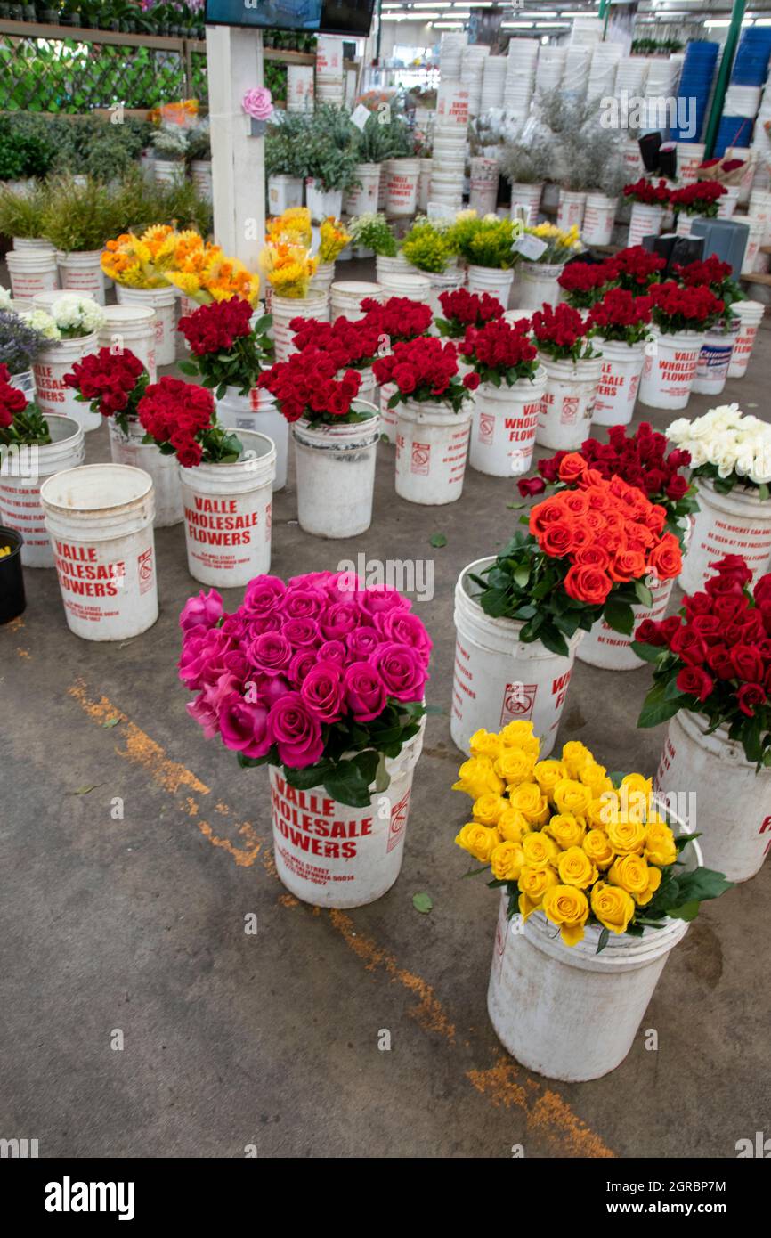 El Mercado de Flores de Los Angeles es un gran lugar para ir a comprar  flores en el sur de California Fotografía de stock - Alamy