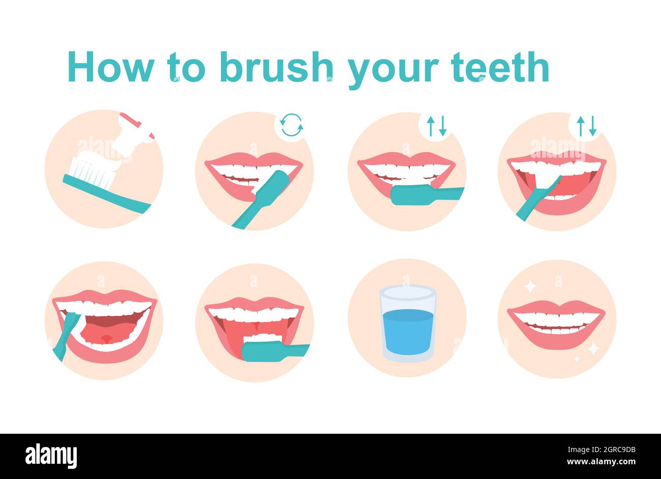 Cómo cepillar los dientes instrucciones paso a paso. Cepillo de dientes y  pasta dental para la higiene bucal. Limpie el diente blanco. Estilo de vida  saludable y cuidado dental. Es Imagen Vector