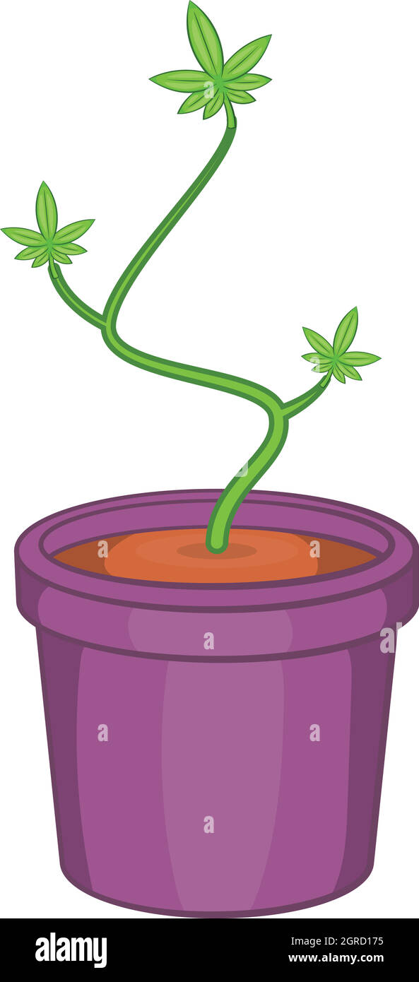 La marihuana en maceta, icono de estilo de dibujos animados Ilustración del Vector
