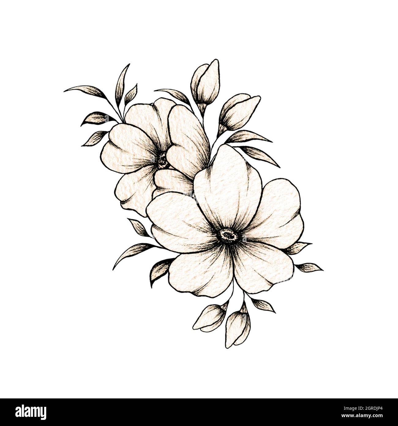 Ramo de flores vintage con flores grandes y pequeñas, ilustración botánica dibujada a mano con flores de arte lineal, flores de boceto de tinta negra grandes para tatuajes Fotografía de stock -