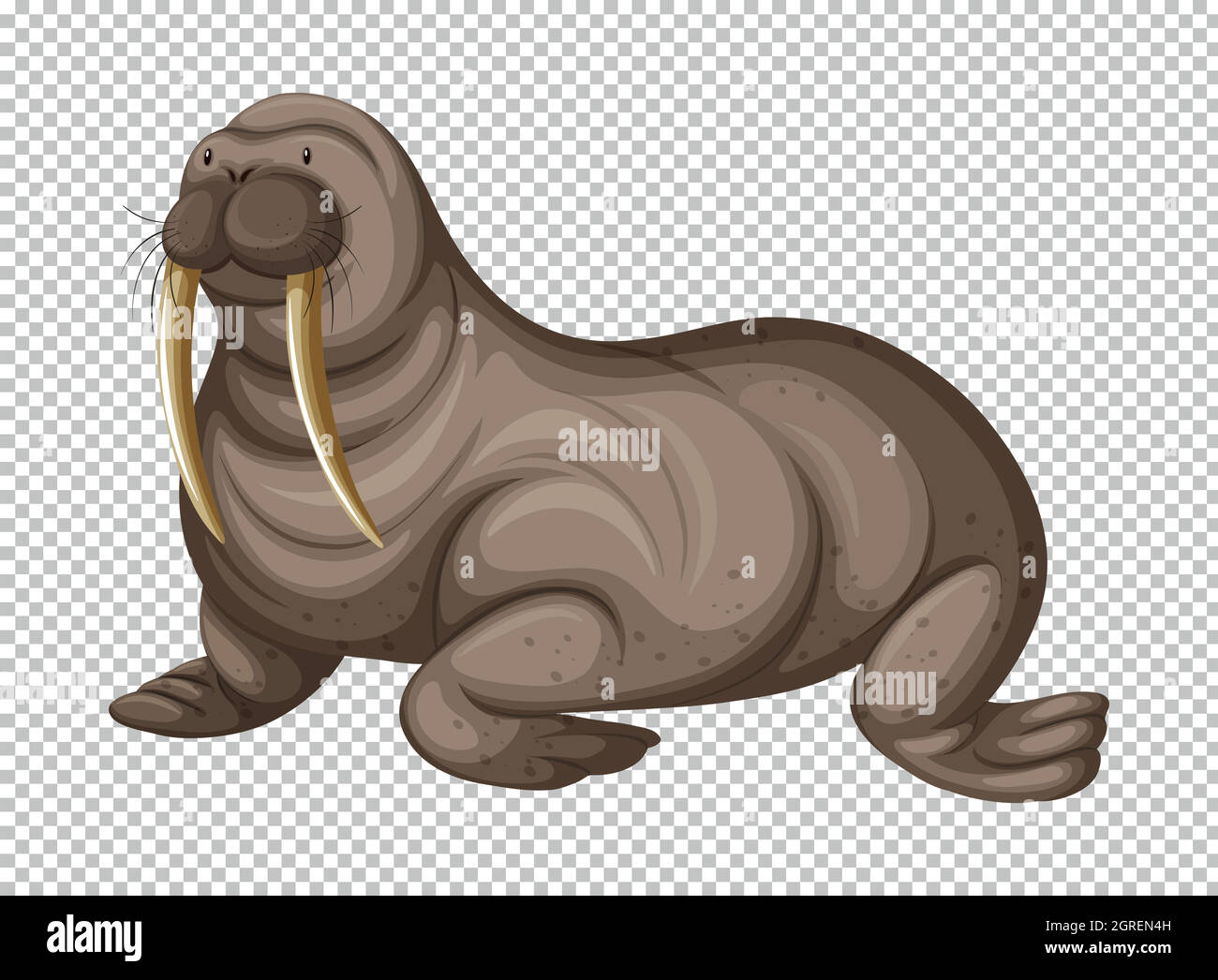 Animal Esquema Para La Ilustración De La Morsa Ilustraciones svg,  vectoriales, clip art vectorizado libre de derechos. Image 75915769