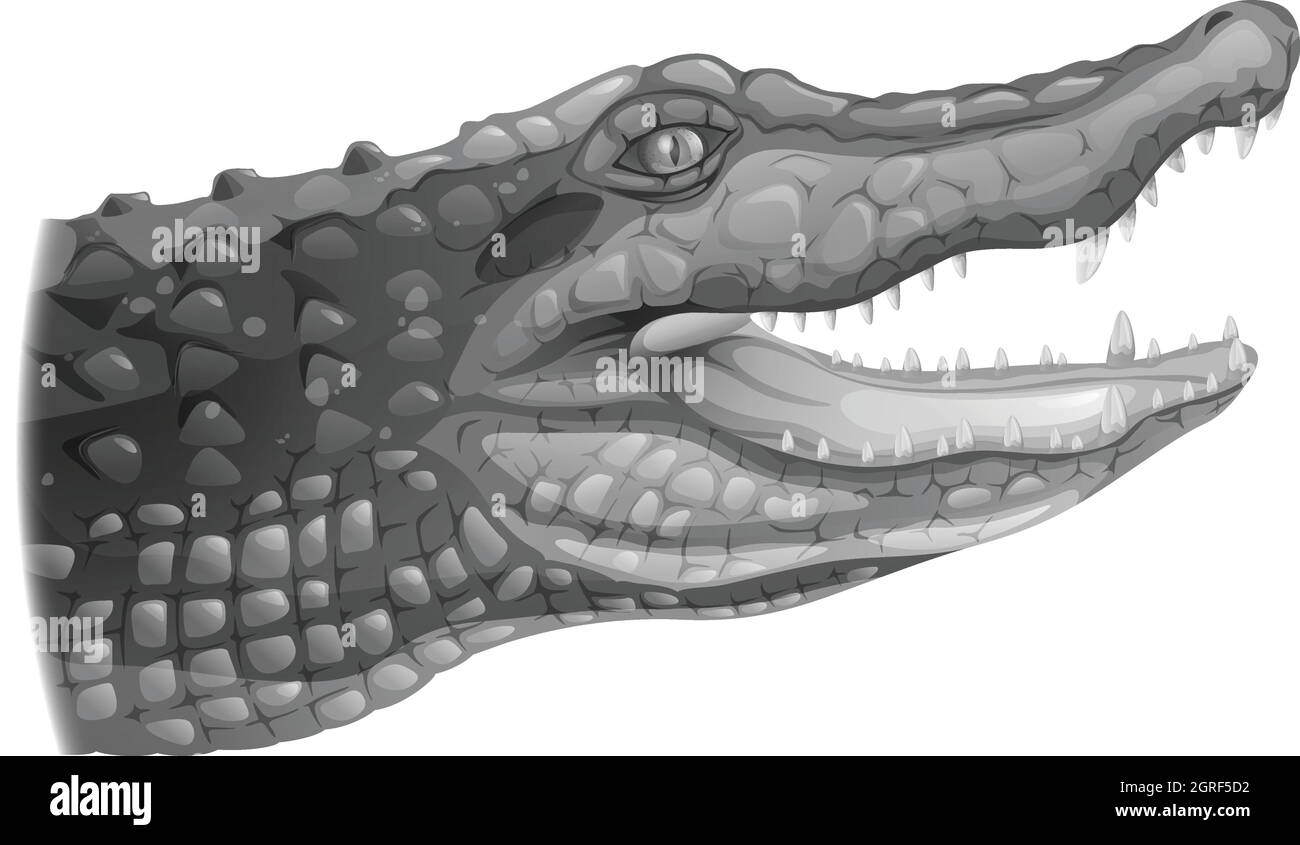 Un cocodrilo gris Ilustración del Vector