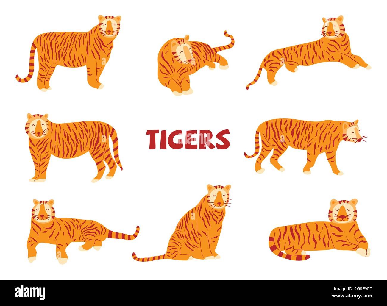 Conjunto de tigres. Noble salvaje a rayas felino, rápido y ágil animal. Ilustración colorida vectorial aislada dibujada a mano. Año del tigre Ilustración del Vector