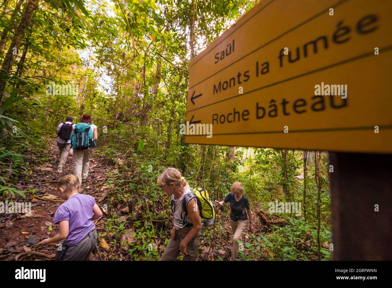 Francia, Guyana, Saül, Parque Amazónico de la Guayana Francesa, familia de excursionistas en el camino del castillo de Roche Foto de stock