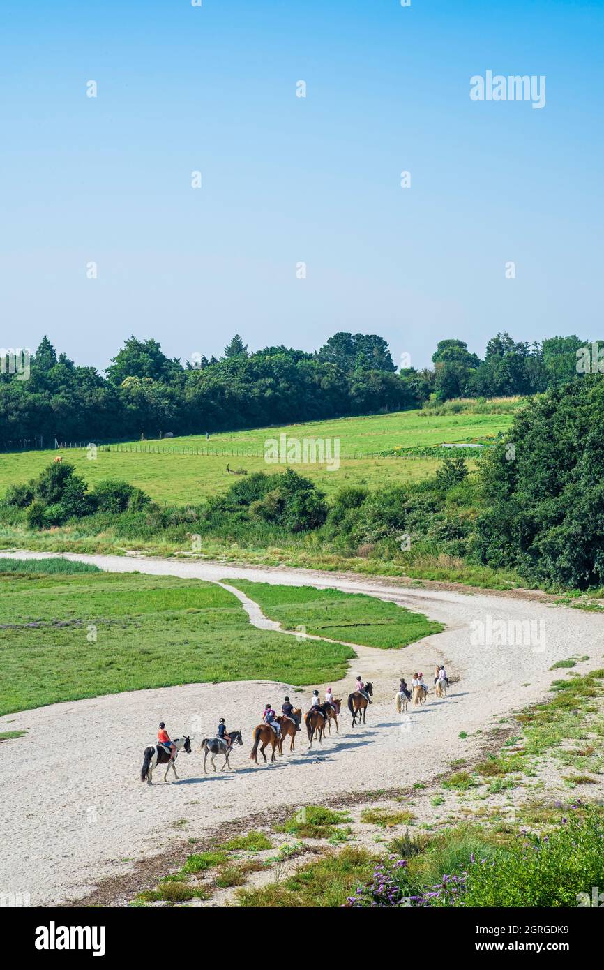 Francia, Ille-et-Vilaine, Saint-Meloir-des-Ondes, paseo a caballo por la bahía del Mont Saint-Michel Foto de stock