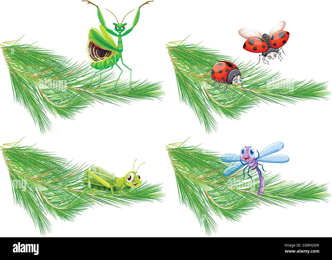 Insecto en la rama del árbol de pino Ilustración del Vector