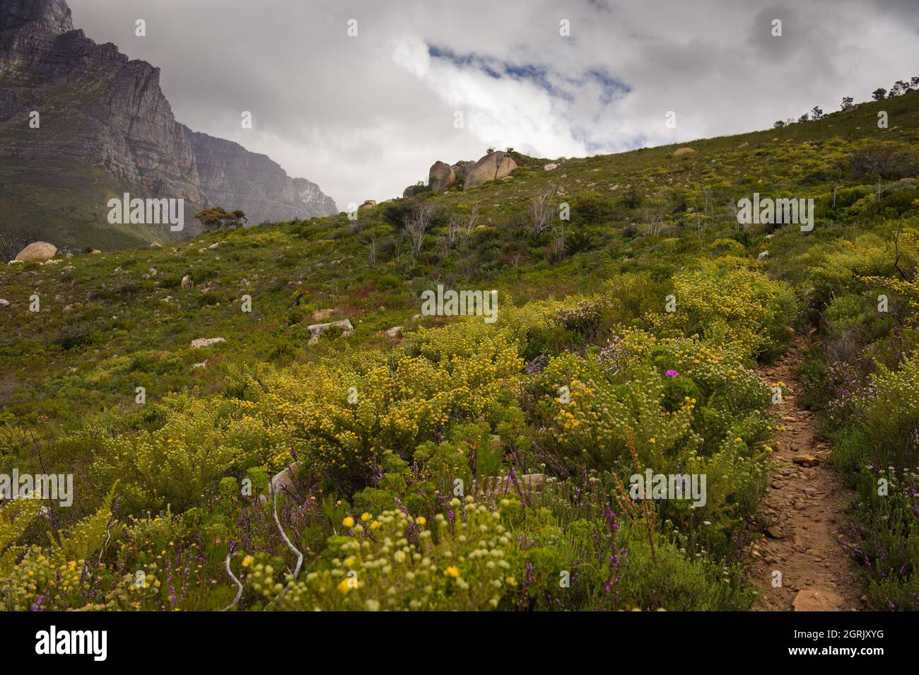 La montaña Table de Ciudad del Cabo desde la emblemática colina Signal de la ciudad de Sudáfrica Foto de stock