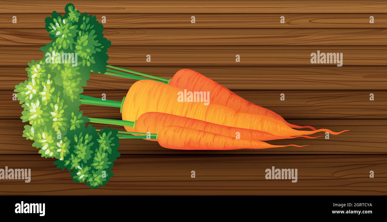 Zanahoria orgánica en mesa de madera Ilustración del Vector