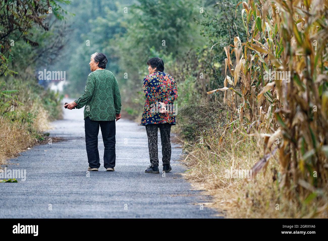 dos ancianas temprano por la mañana en el campo inspeccionando los cultivos Foto de stock