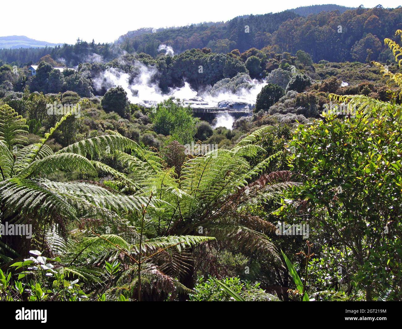 El Valle de Whaka en Rotorua, Nueva Zelanda, es parte de la Zona Volcánica de Taupo en la Isla Norte. Foto de stock
