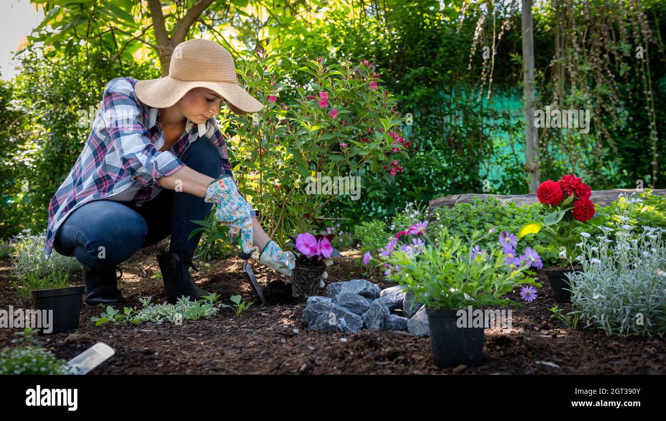 Hermosa Jardinera Femenina con sombrero de paja plantando flores en su jardín. Concepto de jardinería. Foto de stock