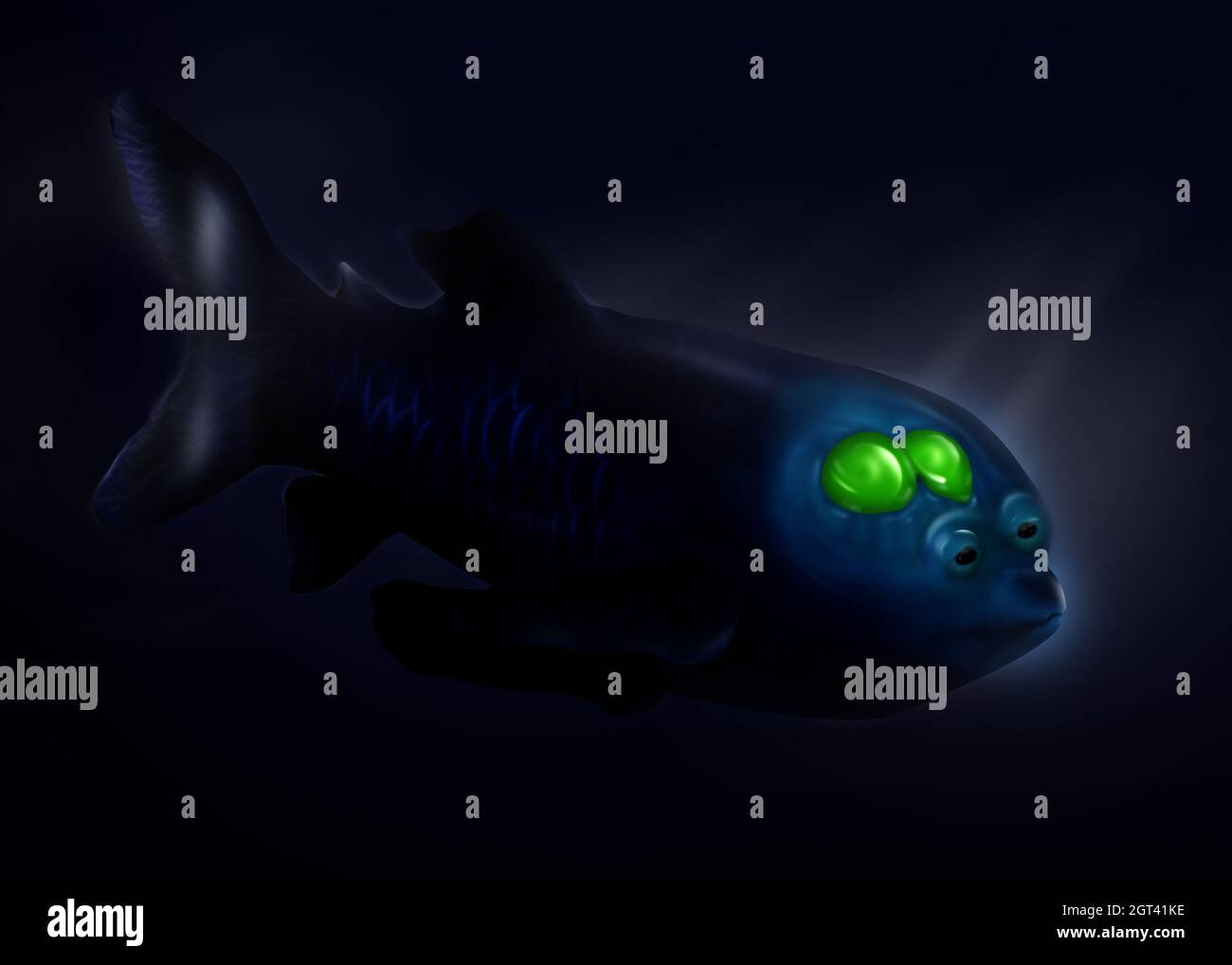 Microstoma macropinna fotografías e imágenes de alta resolución Alamy Microstoma macropinna fotografías e imágenes de alta resolución Alamy