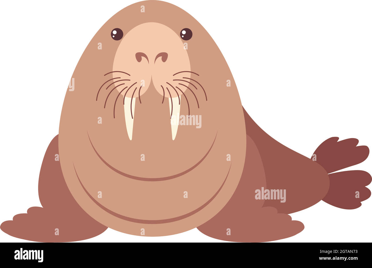 La morsa animal salvaje personaje cartoon ilustración Fotografía de stock -  Alamy