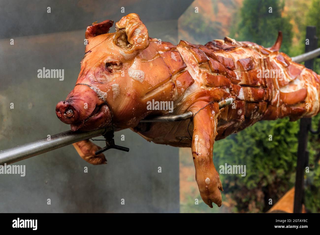 Barbacoa con cerdo joven en una parrilla con carbón de madera. Cuerpo entero  de lechón asado que enciende la parrilla. Gran barbacoa en el proceso de  cocción de carne Fotografía de stock -