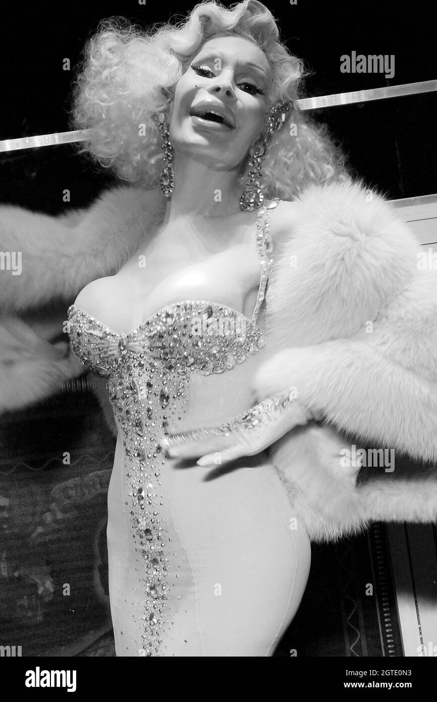 Nueva York, NY, EE.UU. 21 de noviembre de 2011. Amanda Lepore en la gran apertura del Tigre Ciego. Crédito: Steve Mack/Alamy Foto de stock