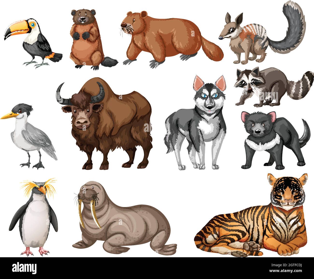 Diferentes tipos de animales salvajes Ilustración del Vector