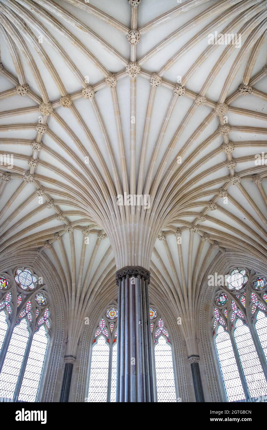 Techo de la Sala del Capítulo, Catedral de Wells Foto de stock
