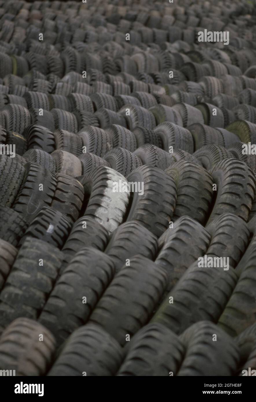 Neumáticos volcados lejos en el bosque. Foto de stock