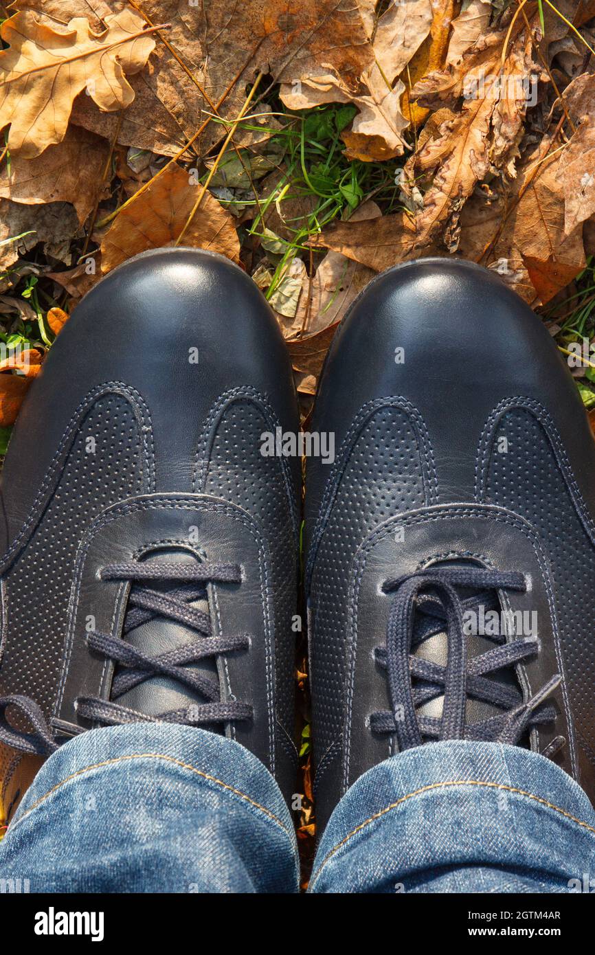 Zapatos cómodos y sport de piel azul marino para hombre sobre hierba con  hojas otoñales de color naranja. Calzado masculino Fotografía de stock -  Alamy