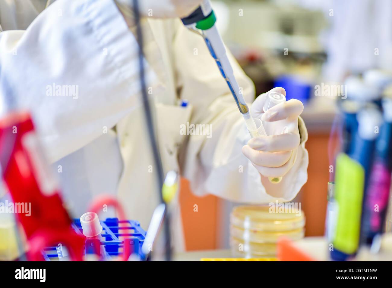 Científico Inoculando Bacterias En Medios De Agar Nutritivo Fotografía De Stock Alamy 3339