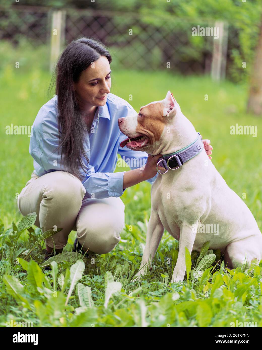Mujer joven okupando y Petting American Pitbull Terrier en el Parque. Feliz  perro con la lengua hacia fuera Fotografía de stock - Alamy
