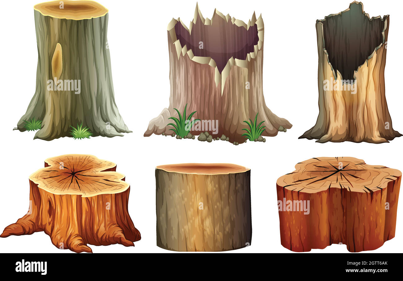 Diferentes tocones de árboles Ilustración del Vector