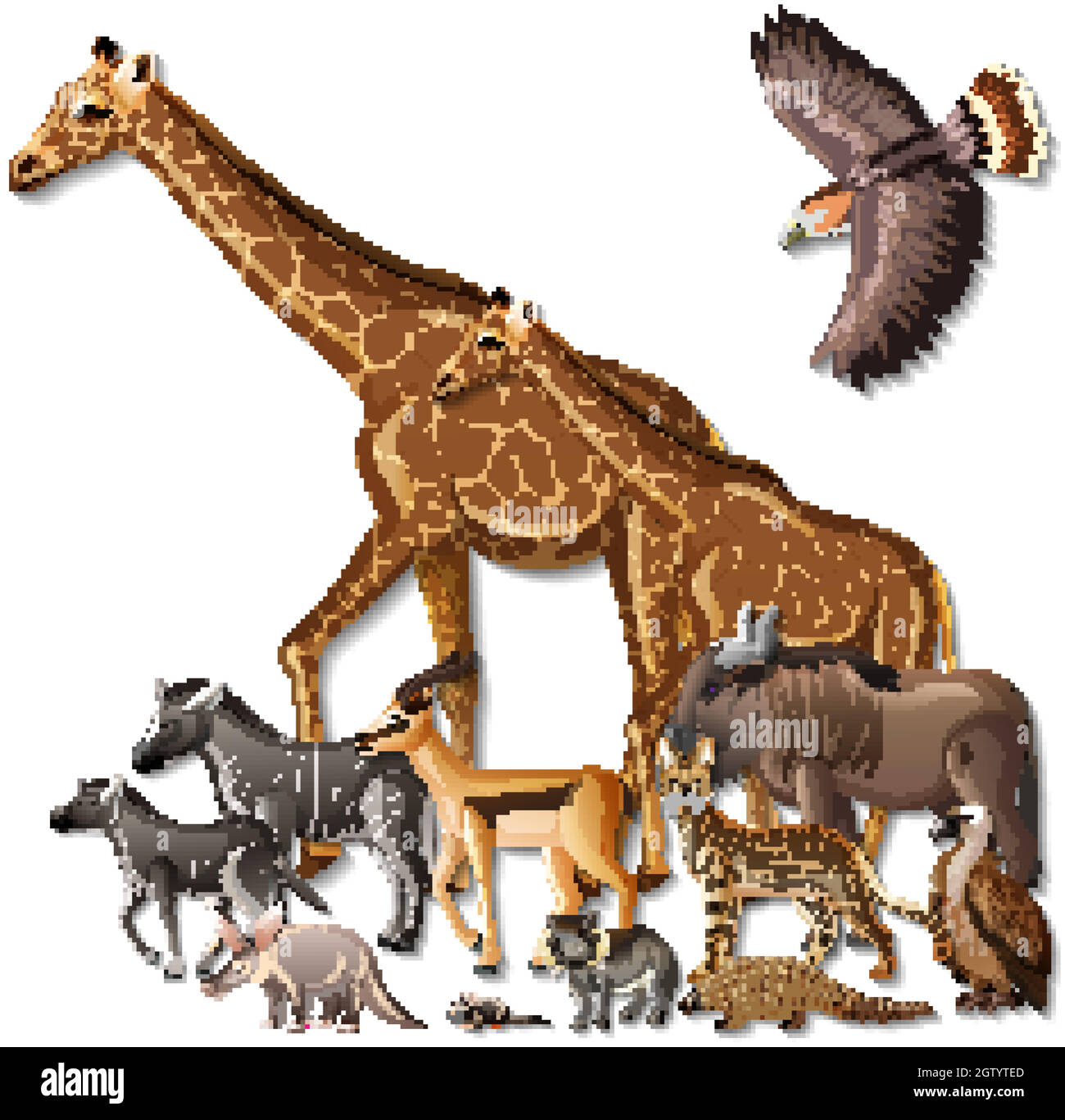 Grupo De Animales Salvajes Africanos Sobre Fondo Blanco Imagen Vector 