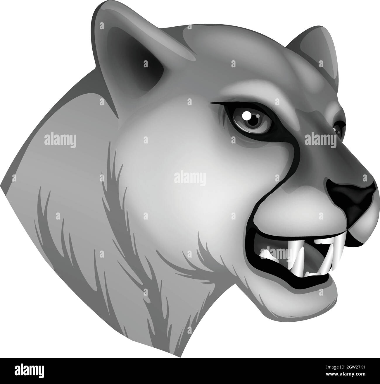 Pantera gris fotografías e imágenes de alta resolución - Alamy Pantera gris fotografías e imágenes de alta resolución - Alamy