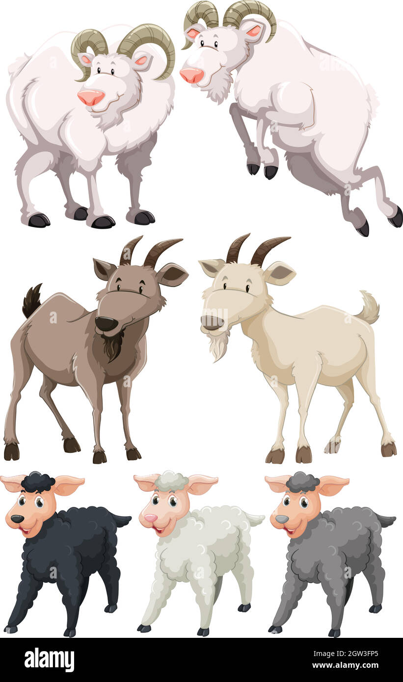 Conjunto de cabras y ovejas Ilustración del Vector