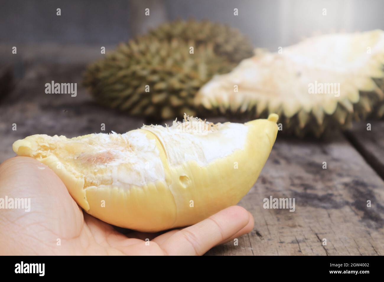 Fortalecer hilo Exitoso Las manos son los Peeles Durianos, Rey de la Fruta de Tailandia Fotografía  de stock - Alamy