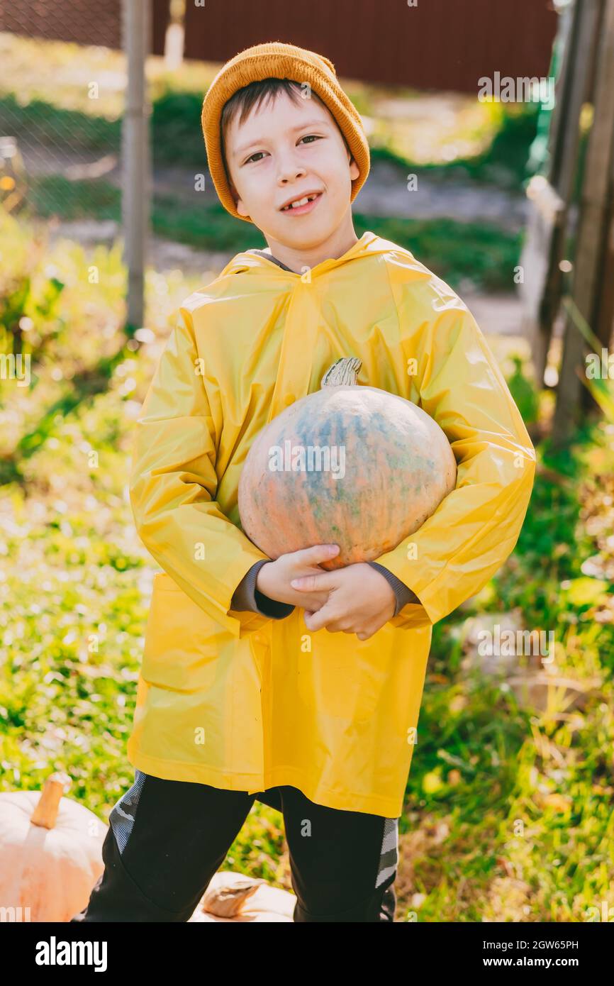 niño en un chubasquero amarillo sostiene una calabaza grande en sus manos  en la calle. Preparándose para Halloween. Feria para la cosecha de  verduras. El niño ayuda Fotografía de stock - Alamy