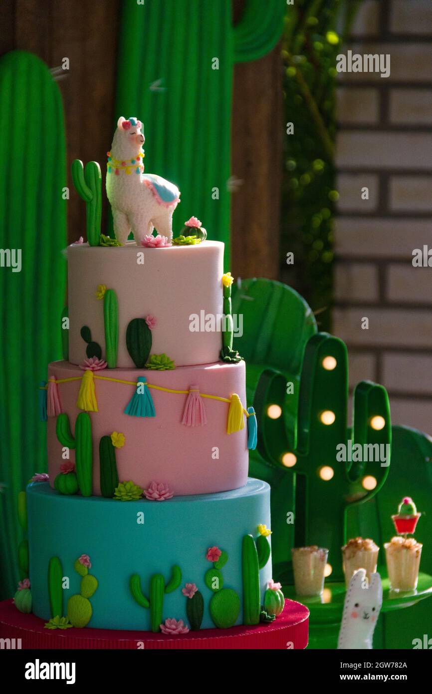 Pastel de cumpleaños cactus fotografías e imágenes de alta resolución -  Alamy