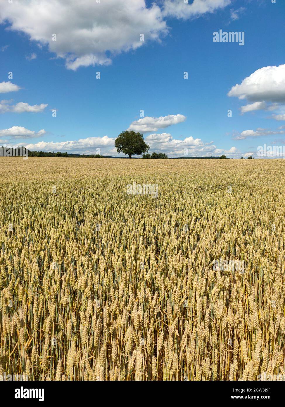 Vista panorámica del campo contra el cielo Foto de stock