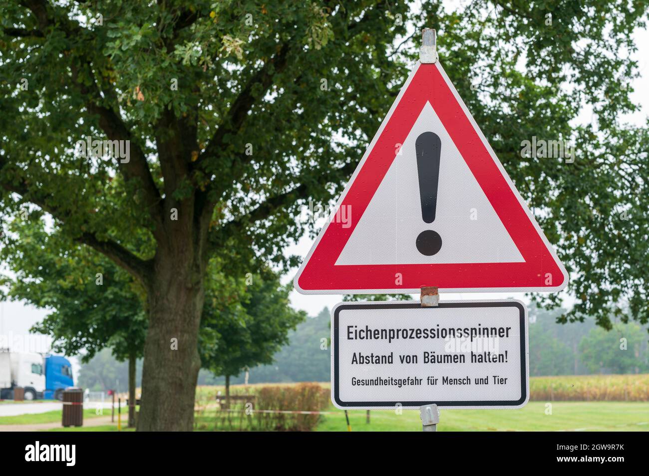 Una señal de advertencia con la inscripción alemana , la polilla procesionaria de roble , mantener la distancia de los árboles ! Peligro para la salud de seres humanos y animales . Foto de stock