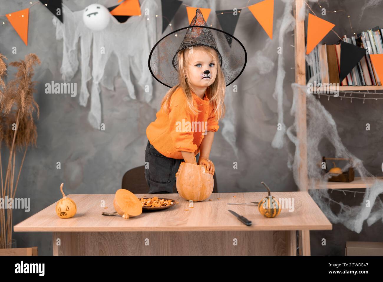 Una niña hace un jack-o-linterna de una calabaza grande para celebrar  Halloween. Traje de bruja, sombrero y maquillaje. Saque la pulpa con  semillas Fotografía de stock - Alamy