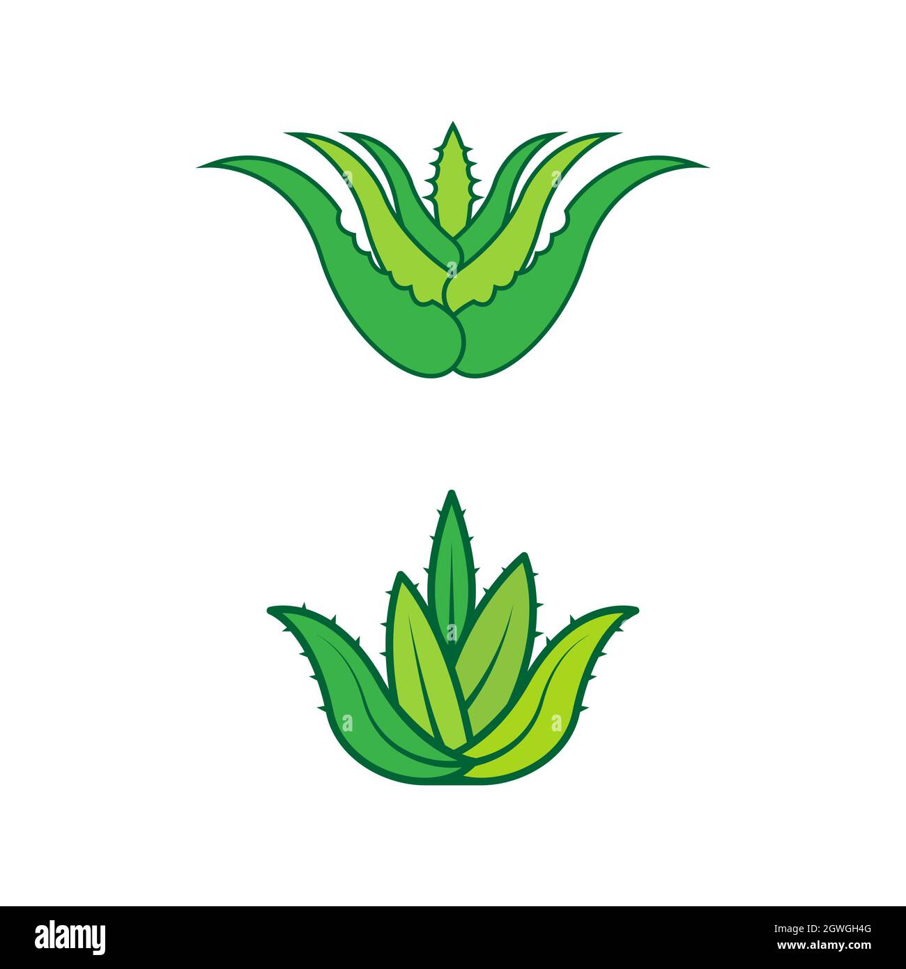 Aloe Vera Vector Icono ilustración de diseño Plantilla Fotografía de stock  - Alamy