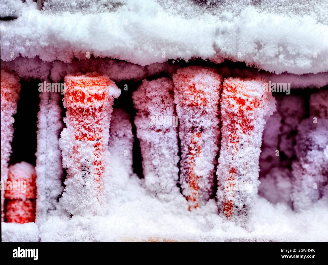 Muestras de sangre de investigación médica en congelador Foto de stock