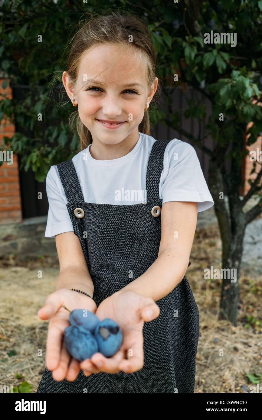 Retrato en forma de canto de la niña preescolar en el huerto de ciruelas. Chica sosteniendo Retrato en forma de canto de la niña preescolar en el huerto de ciruelas. Chica sosteniendo
