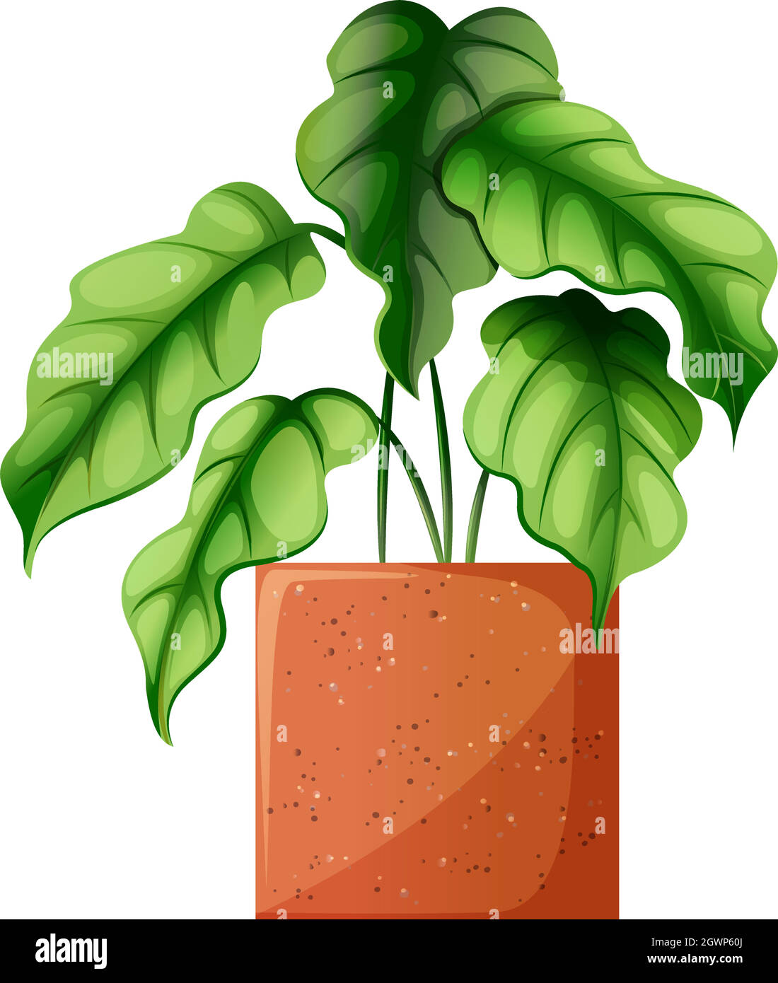 Planta ornamental verde frondosa Ilustración del Vector