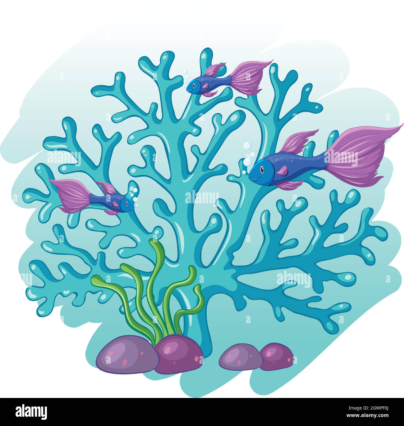 Criatura del arrecife de coral Imágenes vectoriales de stock - Alamy