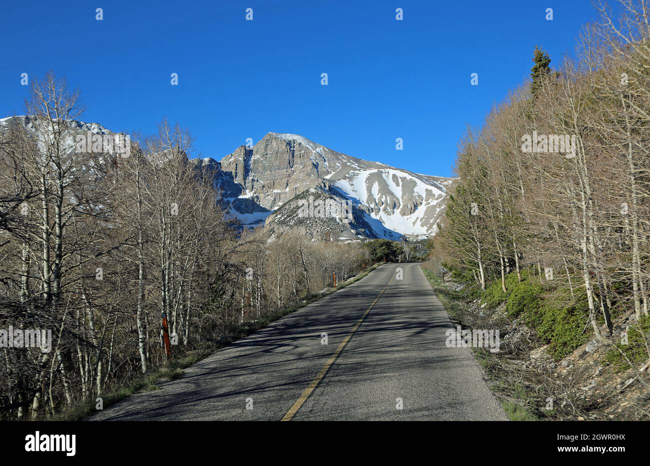 Wheeler Peak acantilado y la carretera - Parque Nacional Great Basin, Nevada Foto de stock