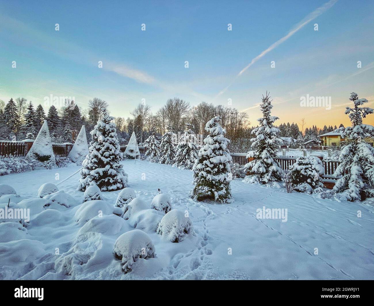 Árboles cubiertos de nieve en el campo contra el cielo Foto de stock