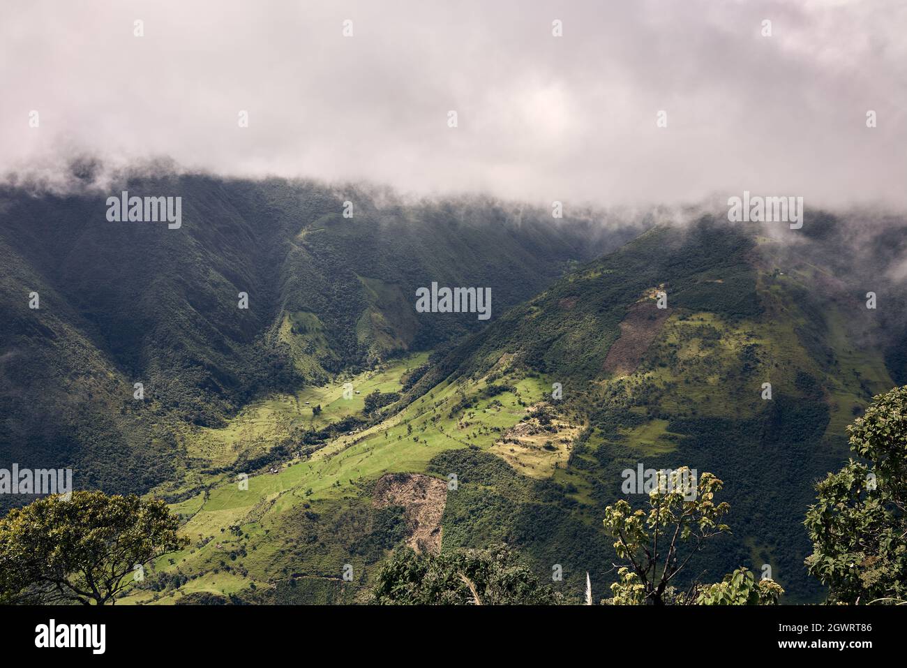 Vista panorámica de las montañas contra el cielo de árbol Foto de stock