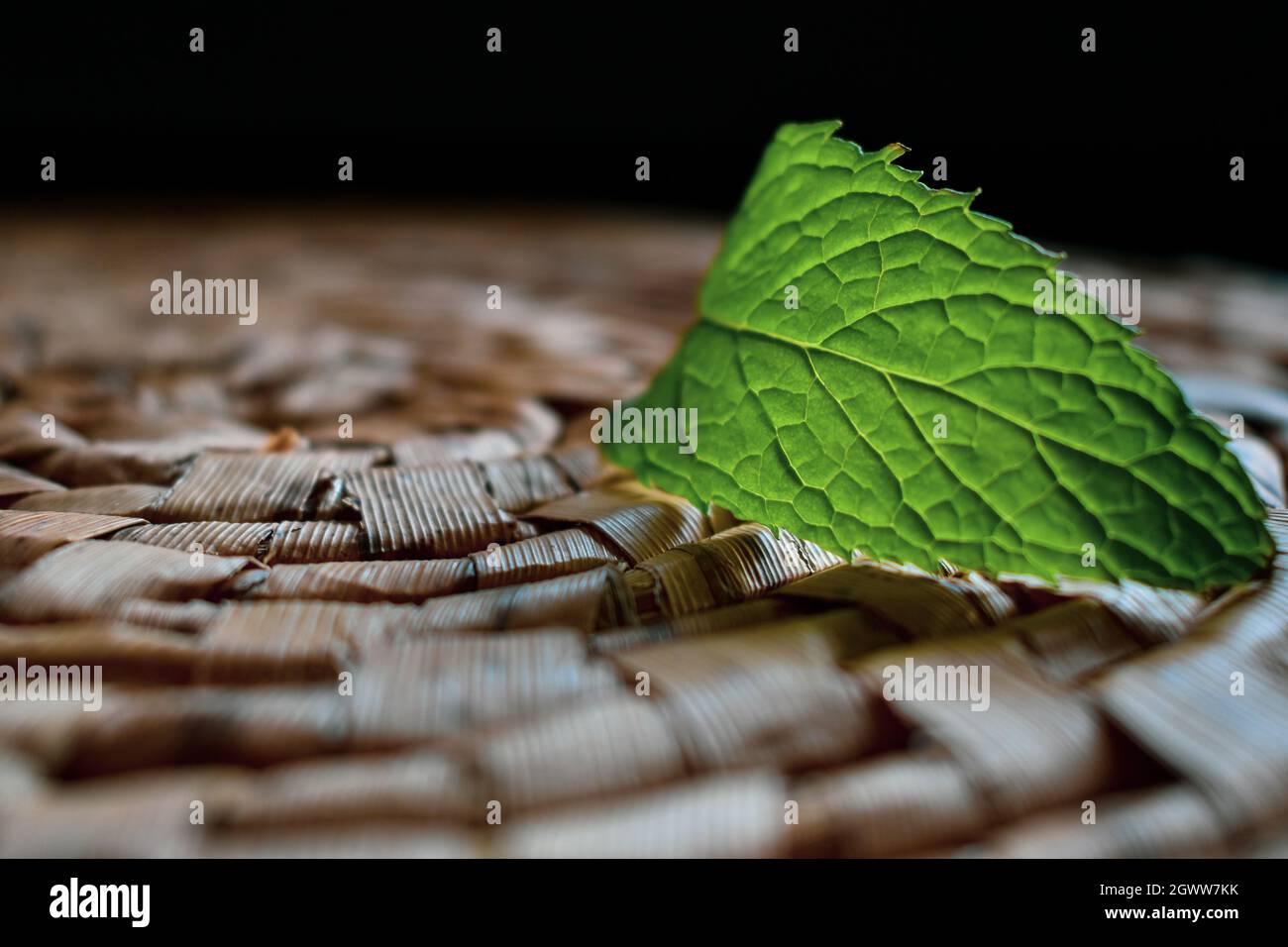 Close-up de hojas verdes en la mesa Foto de stock