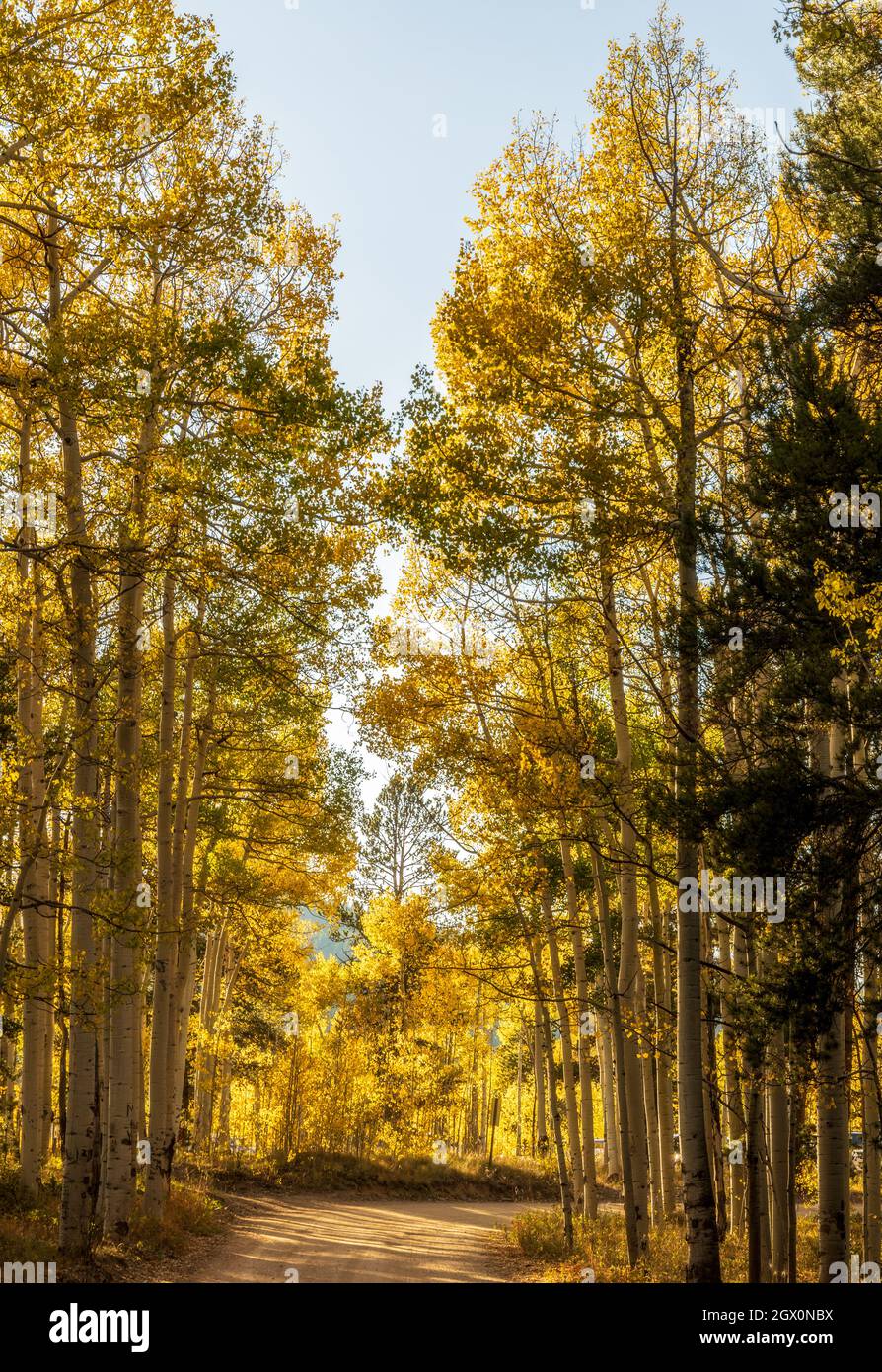 Paisaje Paisaje otoñal en las Montañas Rocosas de Colorado - Paso de Kenosha Foto de stock