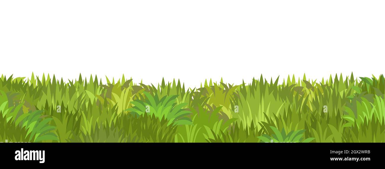Césped. Ilustración integrada. Primer plano de hierba. Verde paisaje  veraniego. Pradera de pastos rurales. Estilo de dibujos animados. Diseño  plano. Aislado sobre fondo blanco Imagen Vector de stock - Alamy