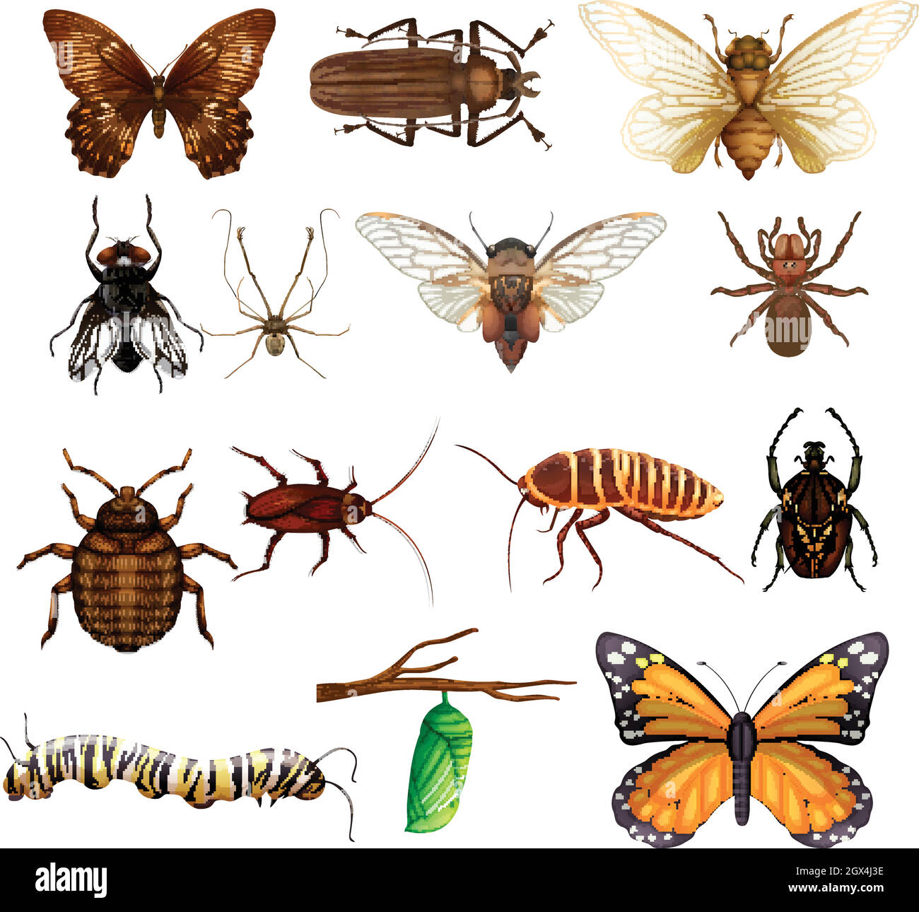 Diferentes tipos de insectos salvajes Ilustración del Vector